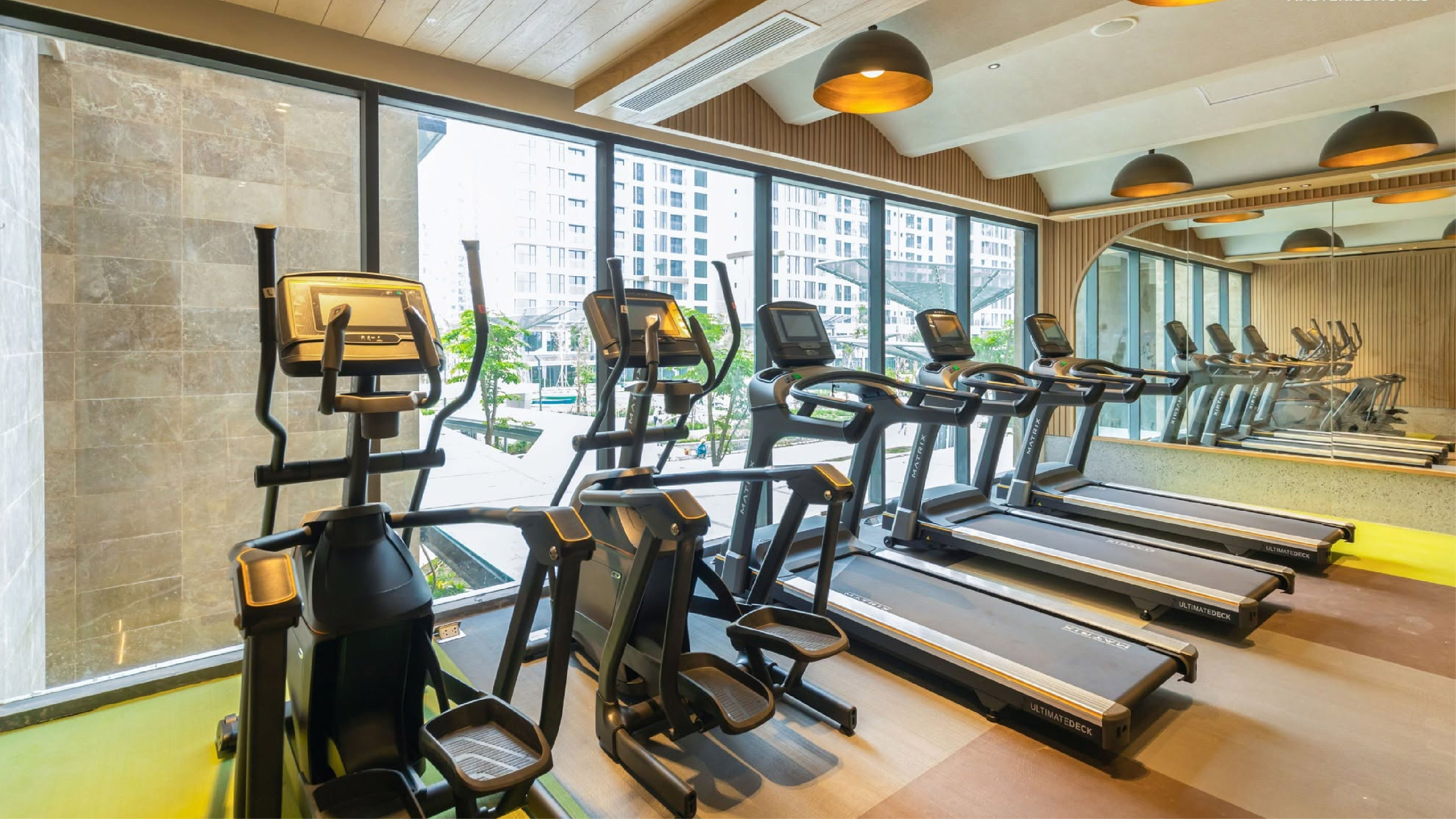 GYM - ảnh 3